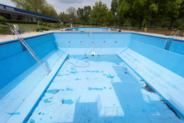 Best Local water damage restoration  in Daleville, VA