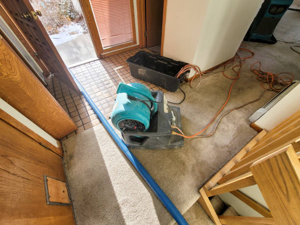  Daleville, VA Water damage restoration Pros