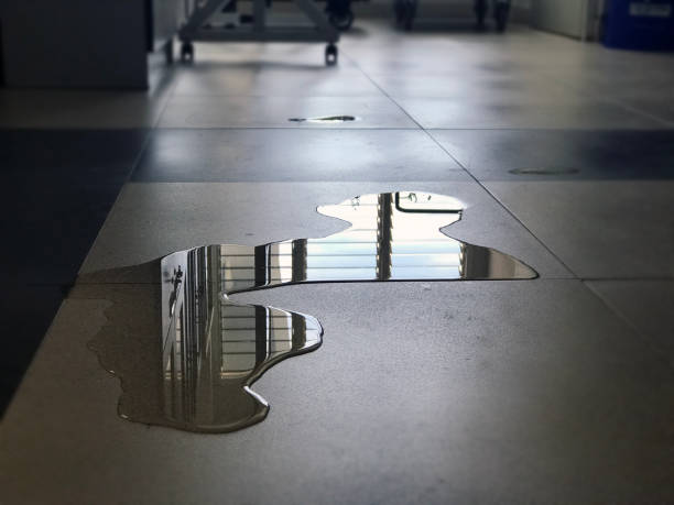 Best Water damage mitigation services  in Daleville, VA