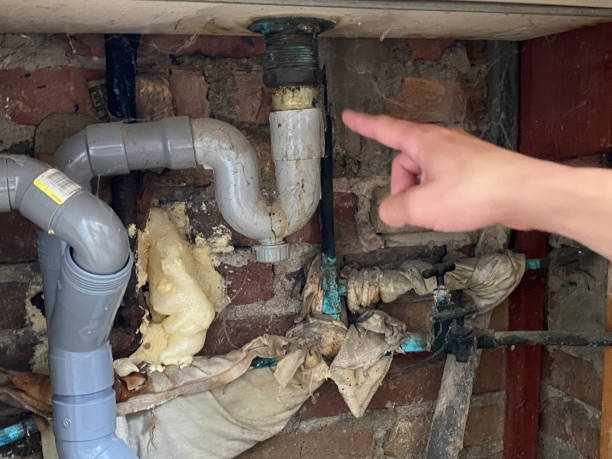 Best Fire Damage Restoration  in Daleville, VA