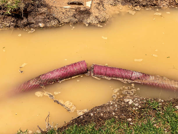 Best Water damage restoration near me  in Daleville, VA