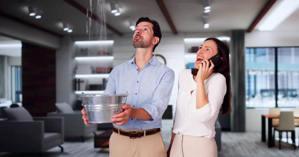 Best Flooded house restoration  in Daleville, VA