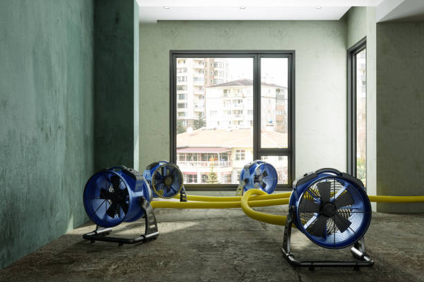 Best Water damage restoration near me  in Daleville, VA