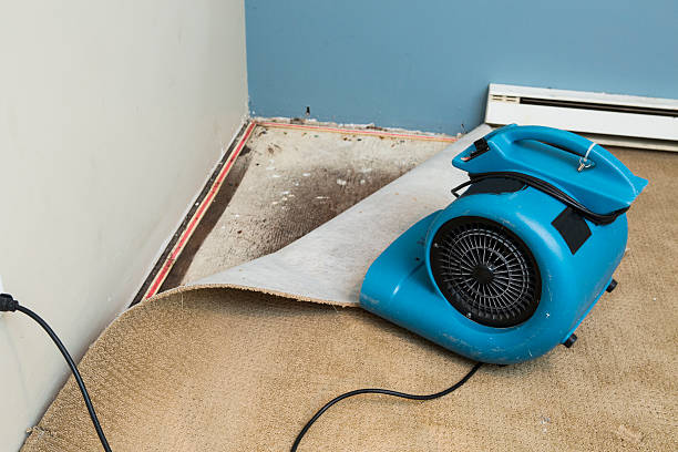 Reliable Daleville, VA Water damage restoration Solutions